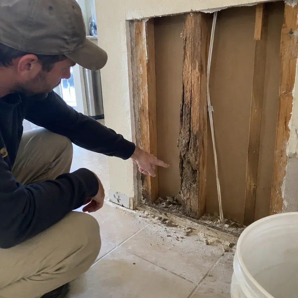 Termite Inspection service in High Point, NC